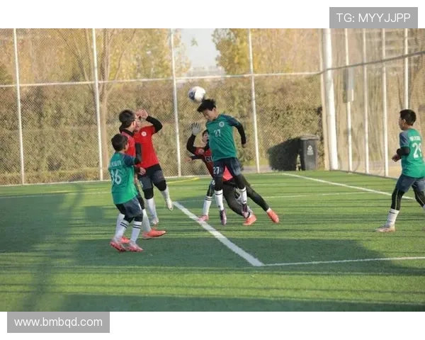 少年足球赛事（少年足球赛制）sports